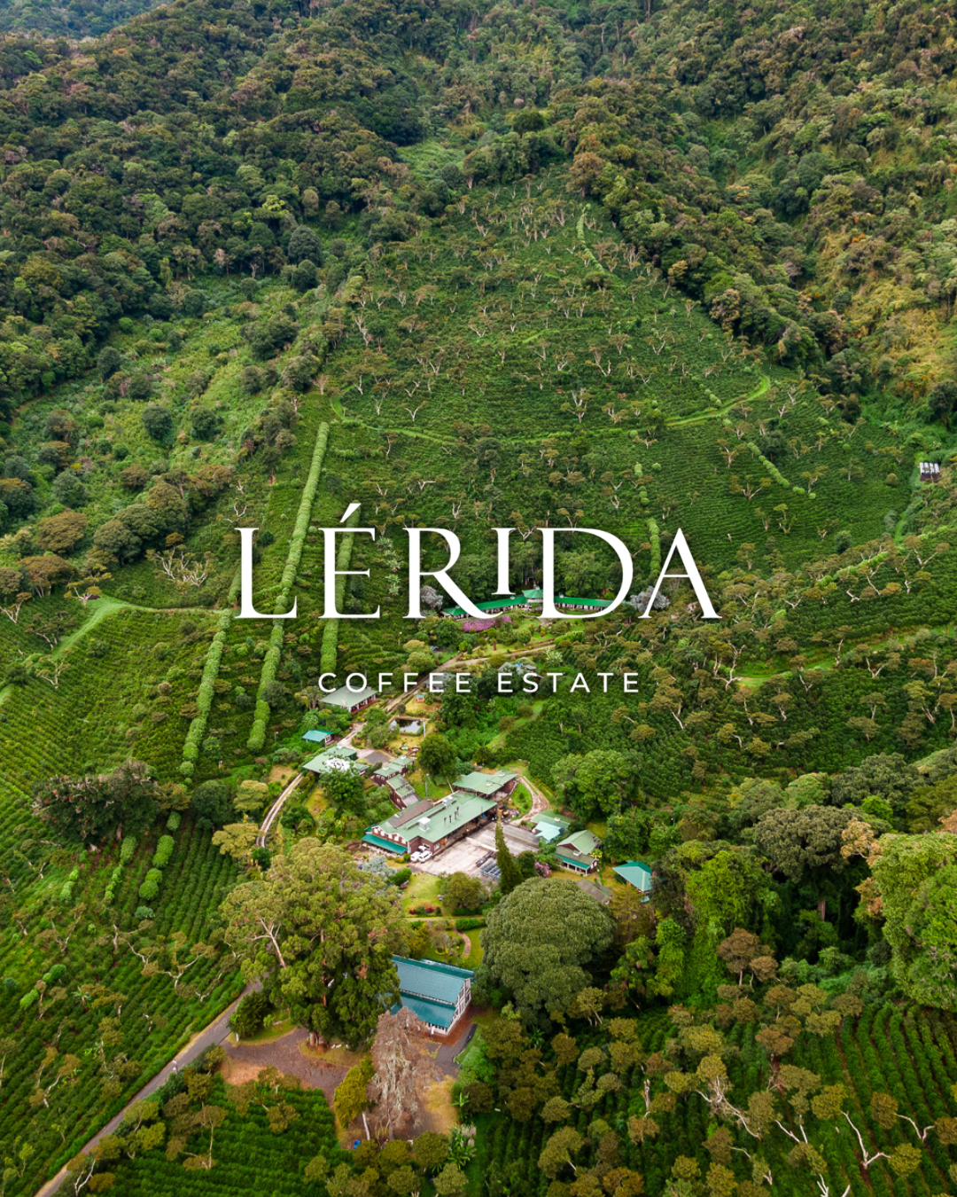 Lerida Estate